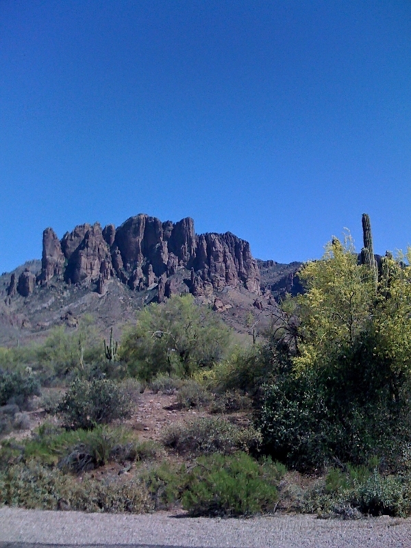 Pictures from iPhone 003.jpg